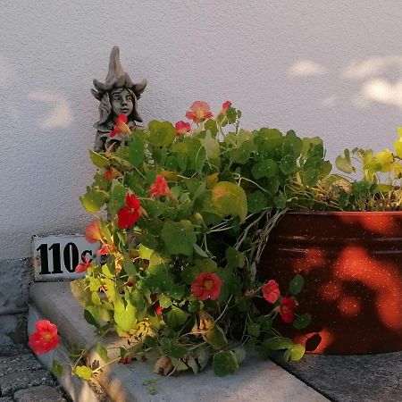Kaethes Sommerhaus Schöna 外观 照片