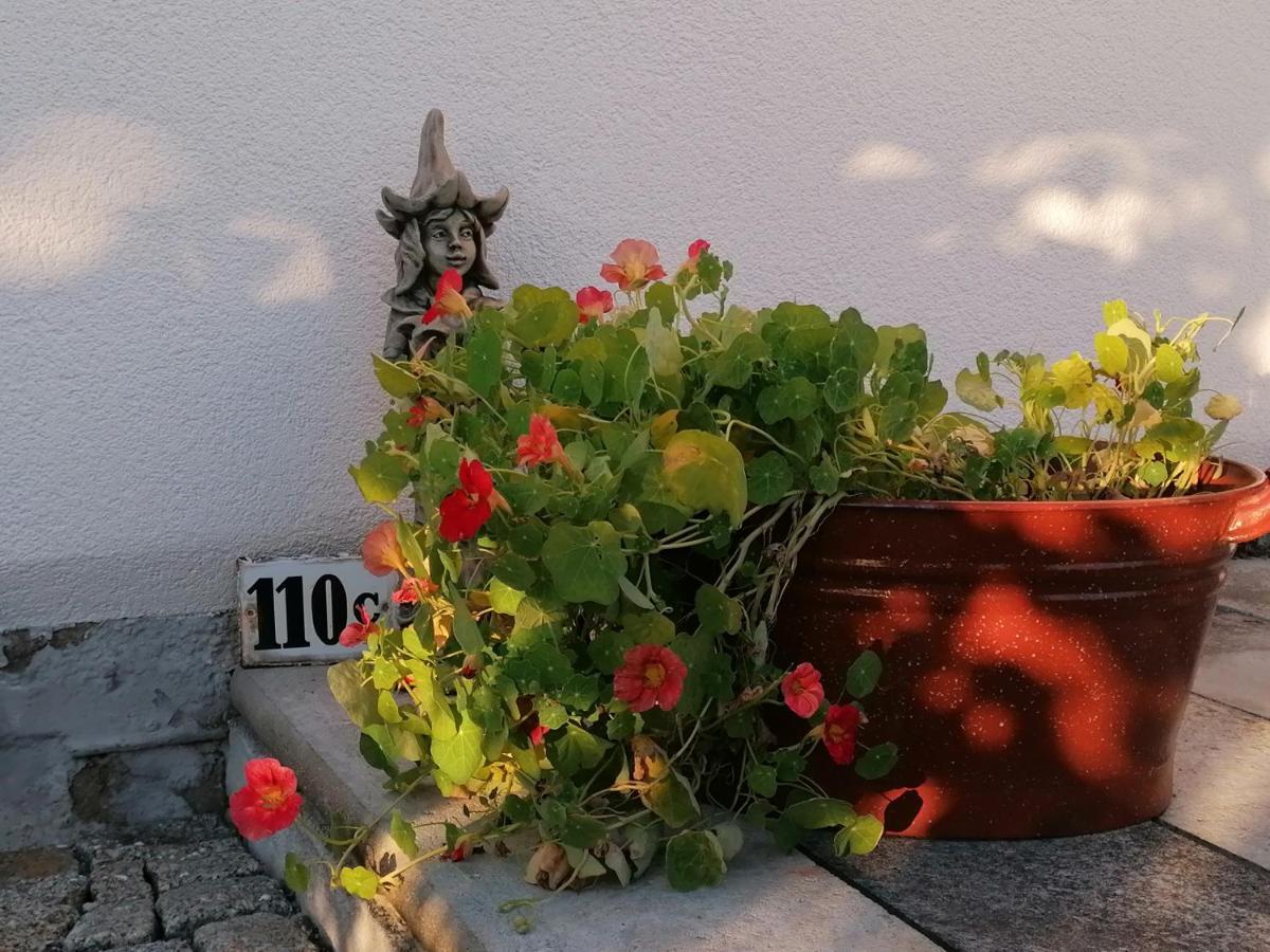 Kaethes Sommerhaus Schöna 外观 照片